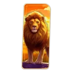 Lion
Safari